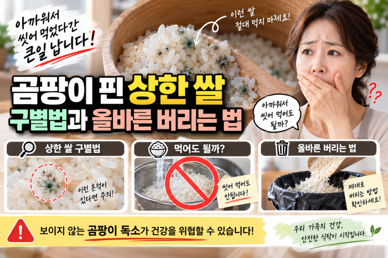 "아까워서 씻어 먹었다간 큰일 납니다" 곰팡이 핀 상한 쌀 구별법과 올바른 버리는 법