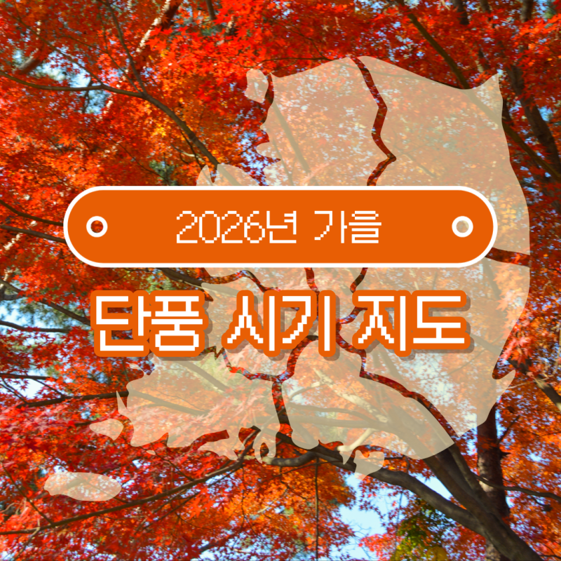 2026 단풍 시기 언제? 전국 단풍지도 보기