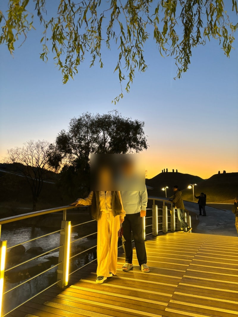 여수 가볼만한 곳 순천만 국가정원, 야간입장 후기 아이랑 가려면 이거 놓치면 큰일 납니다