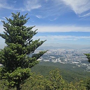 청계산 주차장 4곳 비교｜원터골·매봉 주차요금과 위치
