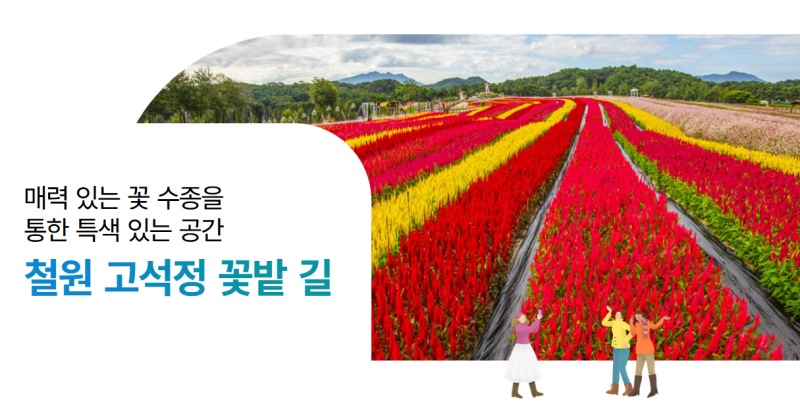 2026 철원 고석정 꽃밭축제 기간·입장료·주차 총정리 추석 가볼만한곳