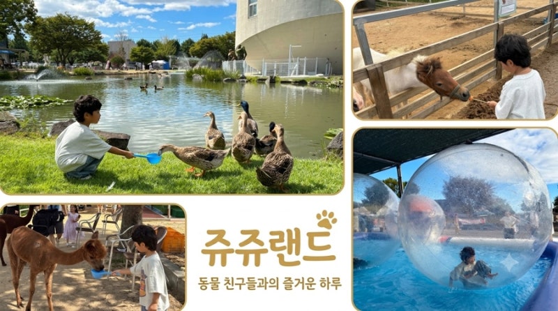서울근교 동물체험 아이와 가볼만한곳 | 쥬쥬랜드 가을 나들이 동물·곤충 체험 후기ㅣ쥬쥬....