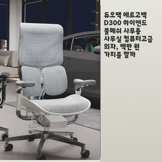 듀오백 D300 하이엔드 사무용 의자, 장시간 앉아있는 직장인에게 맞을까