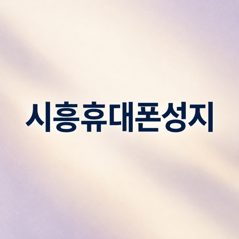 방문 전에 뭘 챙겨야 할까? 시흥 휴대폰 성지 핸드폰 구매 주의점