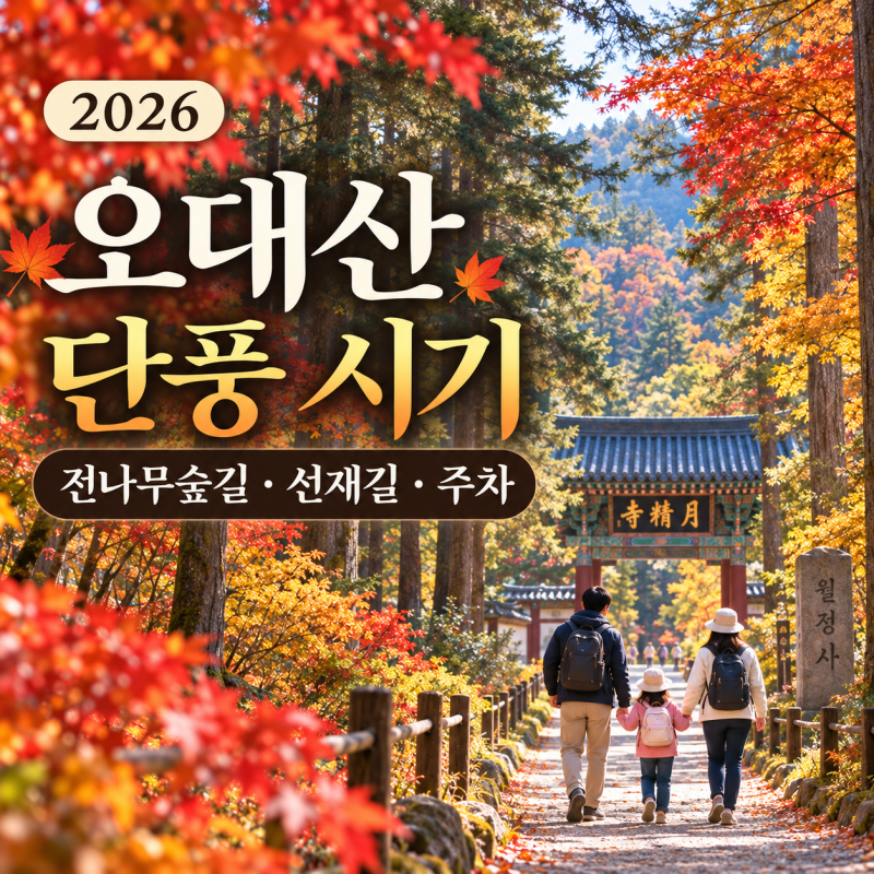 2026 오대산 단풍 시기｜첫 단풍·절정 예상일, 월정사 전나무숲길·선재길 가족여행 코스·주....