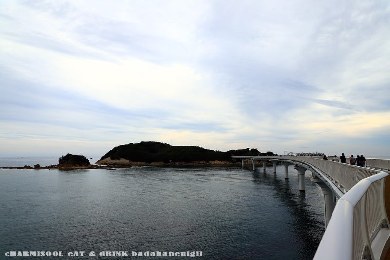 고성 송지호바다하늘길(죽도다리) 운영시간, 입장료, 주차