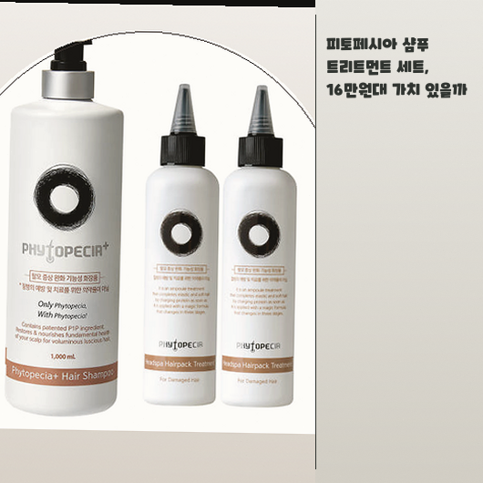 피토페시아 샴푸 한 달 사용해보니 두피 변화와 제품 특징 정리