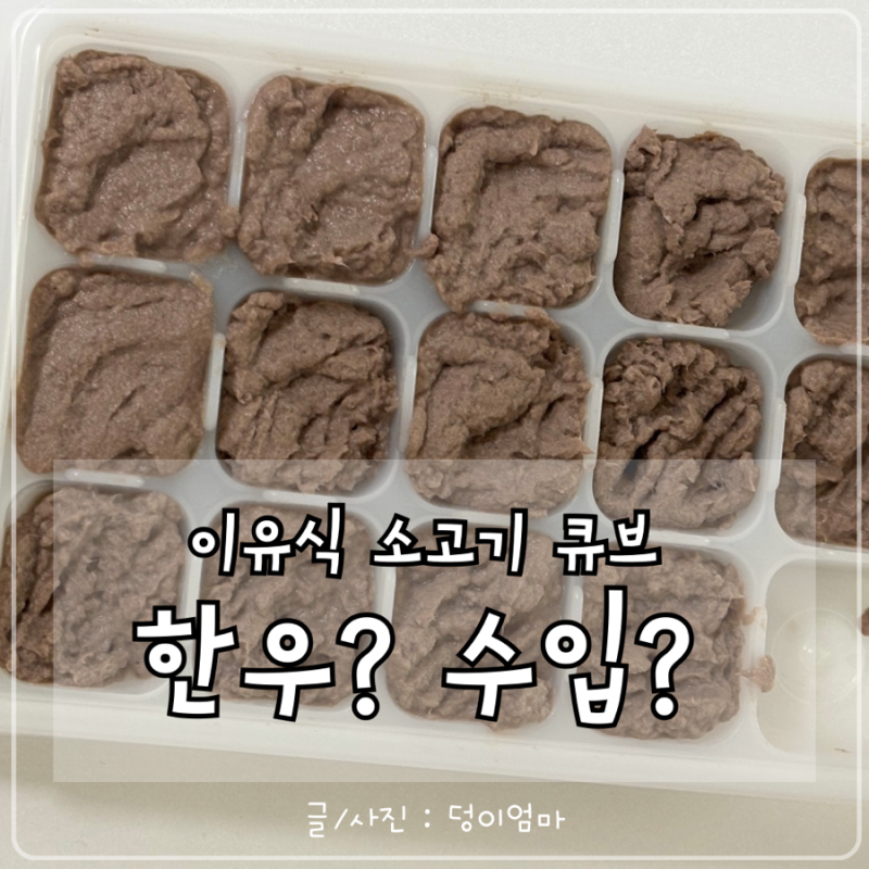 초기 이유식 소고기 큐브 만들기｜우둔살·안심을 쓰는 이유(+한우? 수입산?)