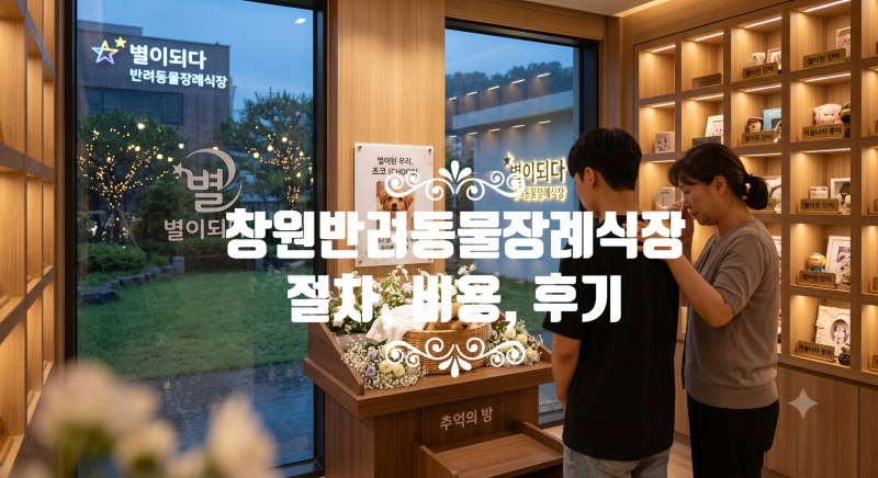 창원반려동물장례식장의 상세 이용 가이드와 장례 정보를 종합하여 정리해 드립니다.