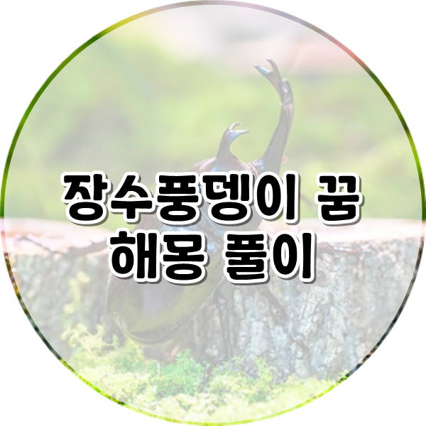 장수풍뎅이가 날아다니는 꿈 장수풍뎅이꿈 해몽 풀이