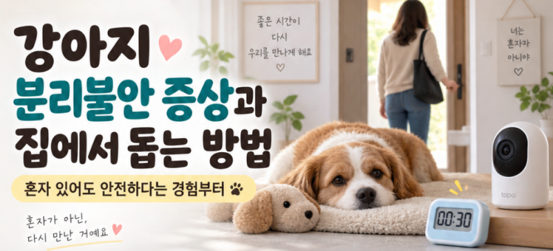 강아지 분리불안 증상과 집에서 돕는 방법