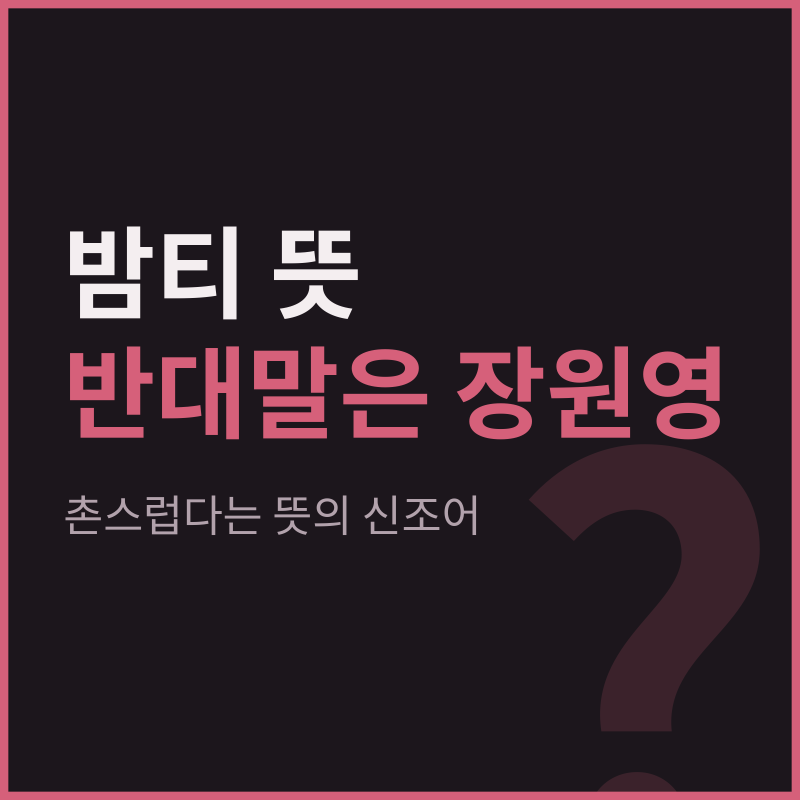 밤티 뜻 | 반대말이 장원영인 이유와 유래 정리