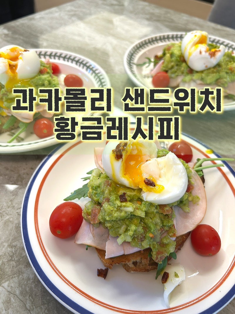 아보카도로 만드는 과카몰리 샌드위치 황금레시피 이대로만하세요