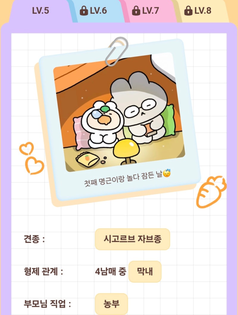 당근 퀴즈 정답 레벨5 Lv1~5 당근이네 당근이 견종 형제관계 부모님직업 좋아하는노래 버킷리....
