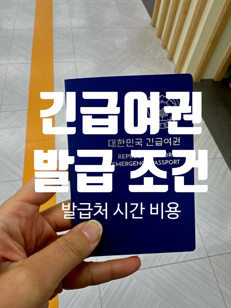 긴급여권 발급 조건, 출국 직전 여권분실 후기(발급처, 시간, 비용)