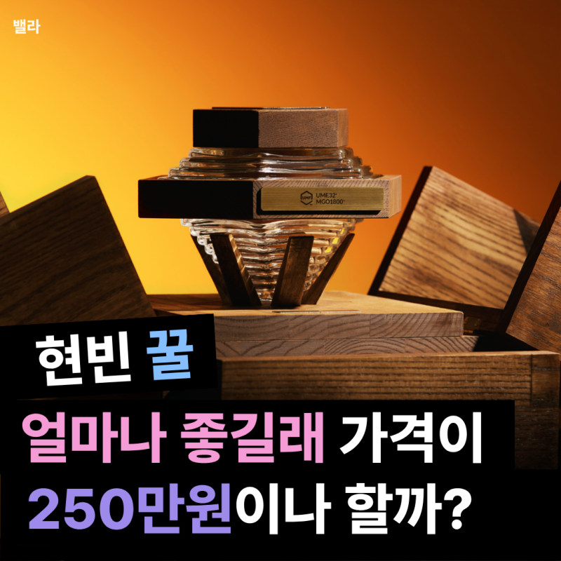 냉부 손예진이 몰래 가져온 '현빈 250만원 꿀', 효능 좋은 꿀 고르는 꿀팁까지