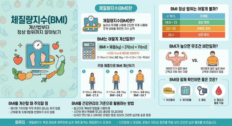 체질량지수(BMI)는 어떻게 계산할까? 계산법부터 정상 범위까지 알아보기