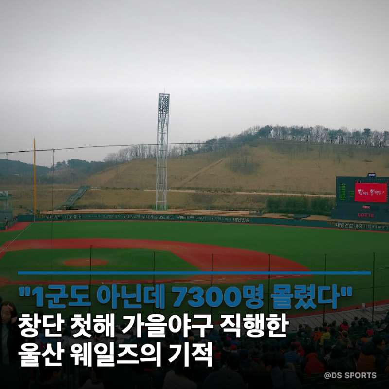 "1군도 아닌데 7300명이 몰렸다고?"… 창단 첫해 가을야구 직행한 울산 웨일즈, 퓨처스 역사 새....