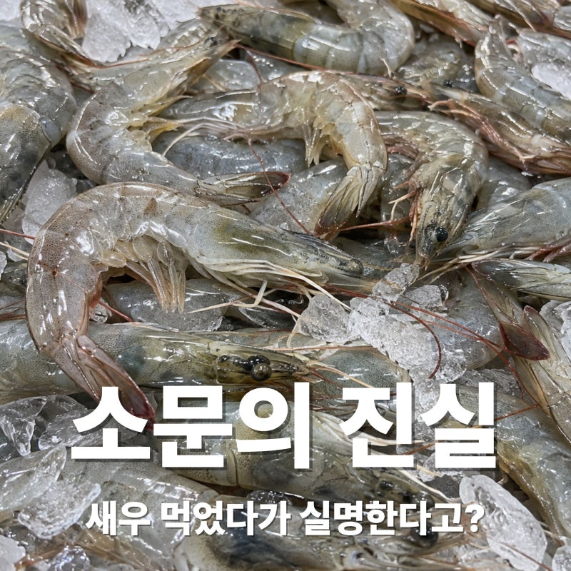 새우 먹으면 실명한다는 말 사실일까? 새우 바이러스 CMNV 소문의 진실