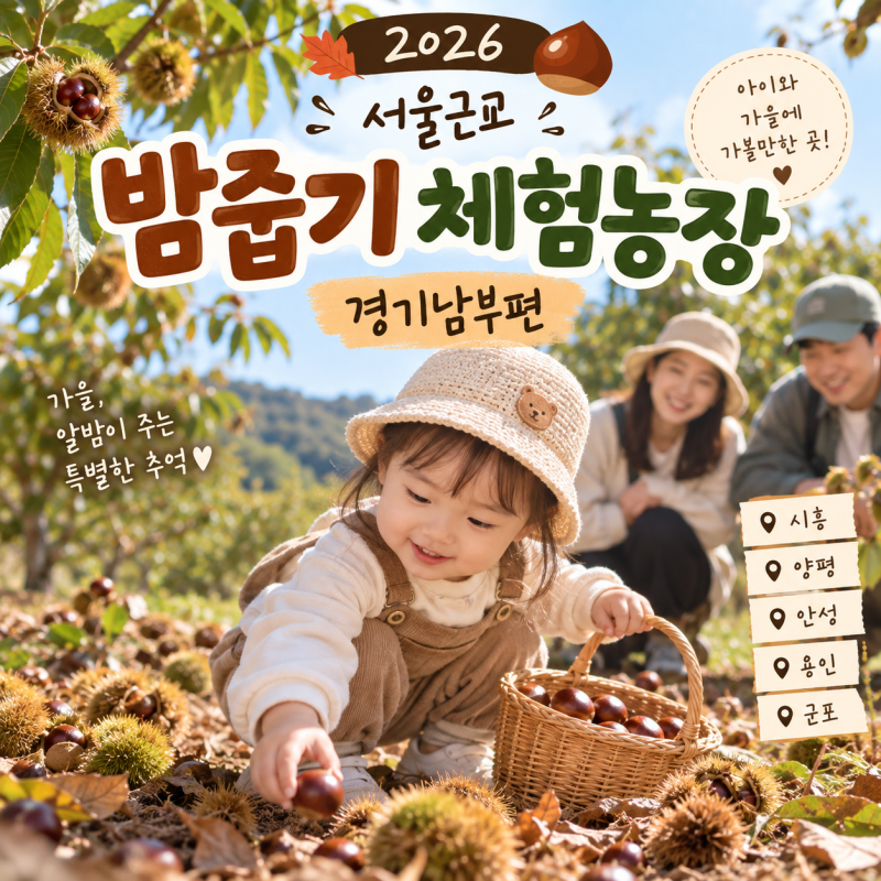 서울근교 아이와 가 볼 만한 곳 밤줍기 체험농장 추천｜경기남부 아이와 알밤줍기 총정리(추....