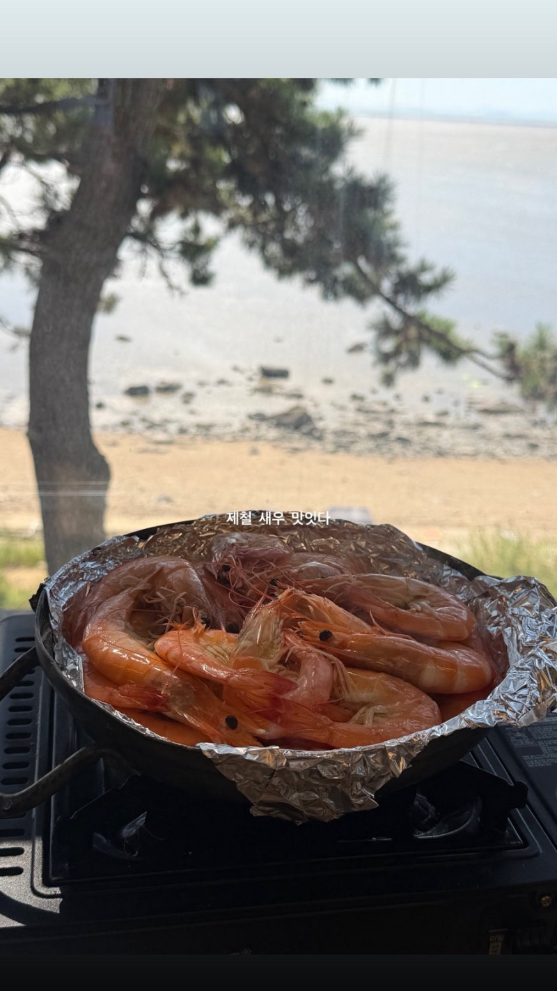 [영종도 맛집] 불티나 조개구이 - (애견동반가능)솔직 후기!