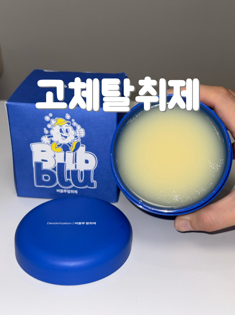 집냄새제거 버블루 고체 탈취제 화장실 신발장 냄새 관리템 추천