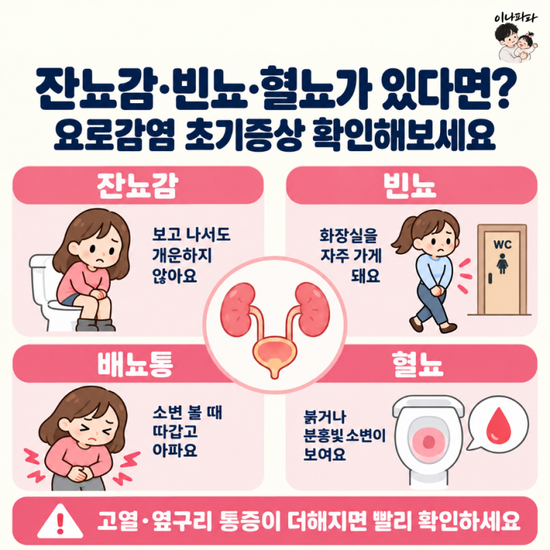 소변이 자주 마렵고 개운하지 않다면? 잔뇨감·빈뇨·혈뇨로 보는 요로감염 초기증상