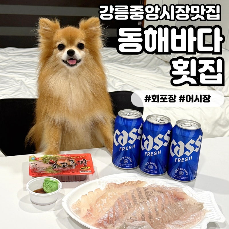 [동해바다횟집] 강릉중앙시장맛집 신선한 회와 해산물을 포장할 수 있는 곳 어시장 맛집 추....