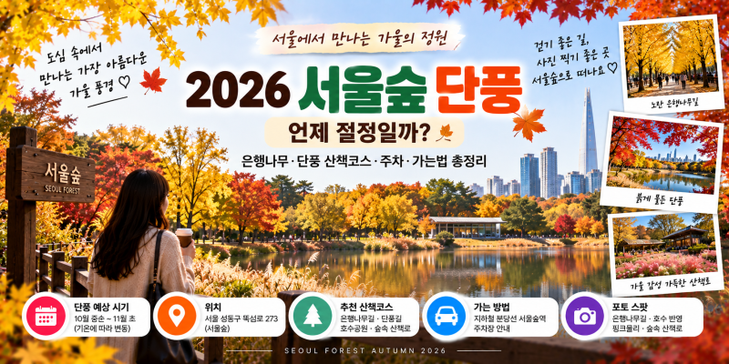 2026 서울숲 단풍 언제 절정일까? 은행나무·가을 산책코스 총정리