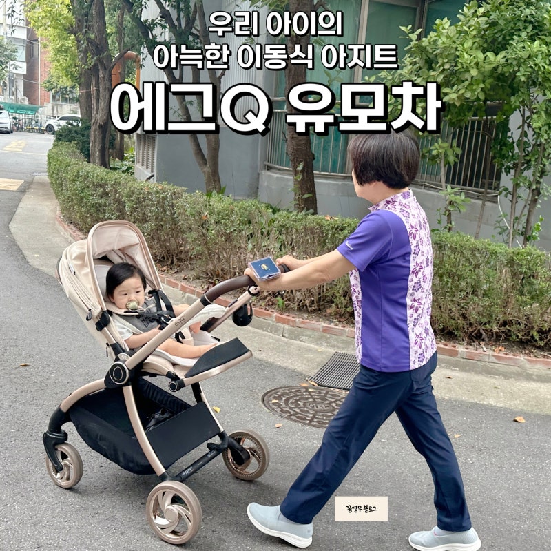 에그Q 절충형 유모차 시어머니가 직접 끌어보신 후기