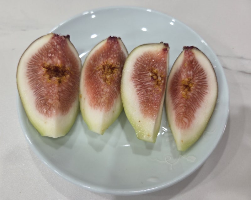 무화과 추천｜영암 산지직송 햇무화과 쿠팡 구매 후기, 달콤하고 신선해요