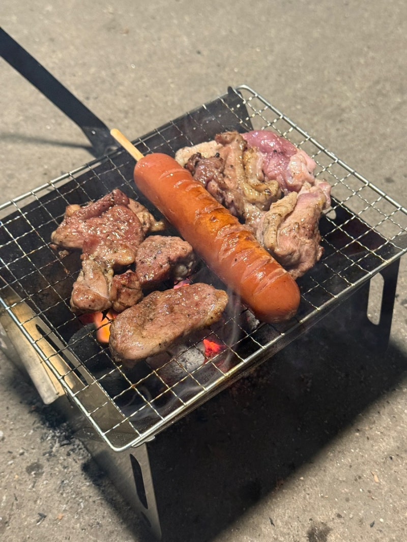 [내돈내산] 다이소 조립식 화로대로 급조한 생오리고기 야장 숯불 구이 솔직 후기