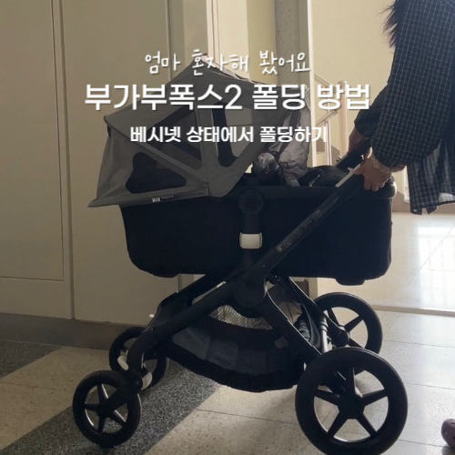 부가부 폭스2 폴딩방법 베시넷 상태에서 엄마 혼자 해보기