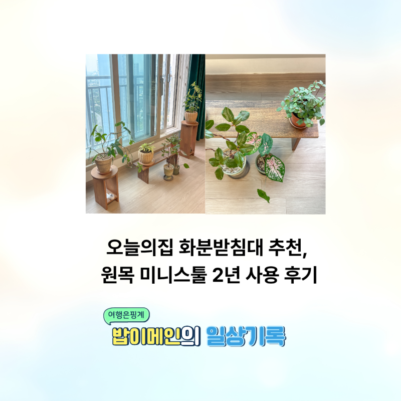 오늘의집 화분받침대 추천, 원목 미니스툴 2년 사용 후기