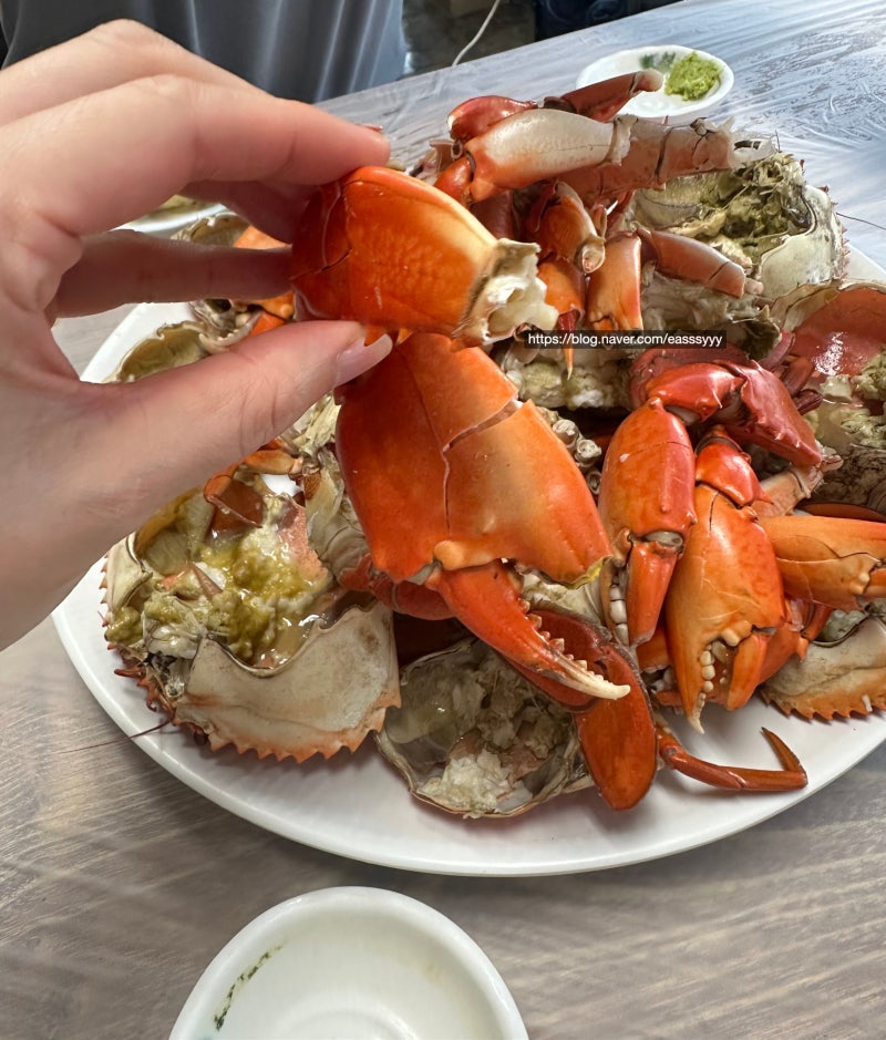 부산 명지 맛집, 꽃게보다 맛있는 가을 청게 들어보셨나요? 윤이수산, 신호활어회초장, 부산....