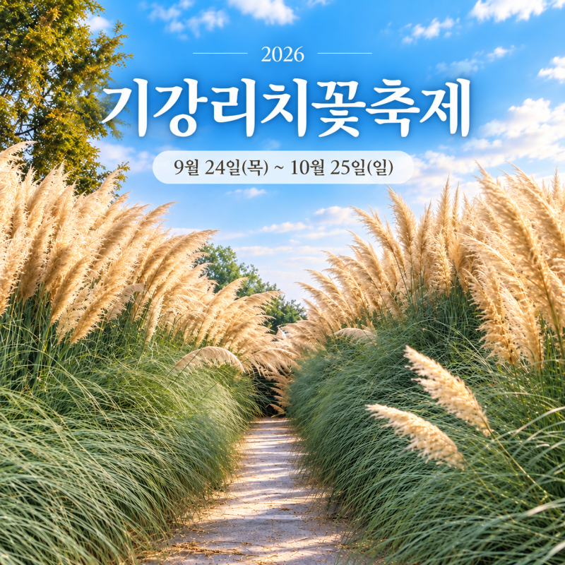 2026 기강 리치 꽃축제 기간 핑크뮬리 댑싸리 가을꽃 여행｜경남 의령 가볼만한곳