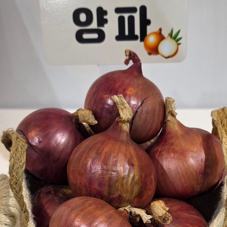 생양파, 익힌 양파 효능이 다를까? | 껍질부터 보관법까지 양파가 궁금해요.