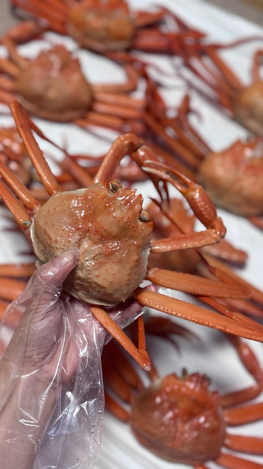 양심걸고 장사하는 해운대 좌동 장산 맛집 통큰대게 포장 후기 홍게 랍스터 킹크랩