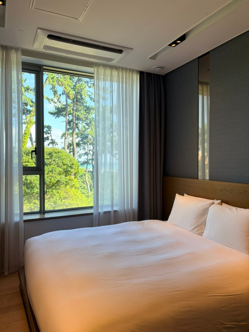 釜山寵物友善飯店：機張海景住宿度假村、海雲台海灘、Restmonz 高爾夫球場