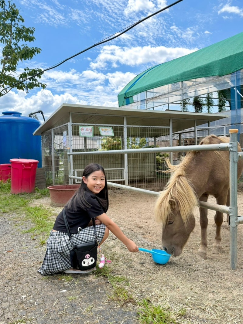 용인 동물체험카페 "포레스트벨" 아이와 가볼만한곳