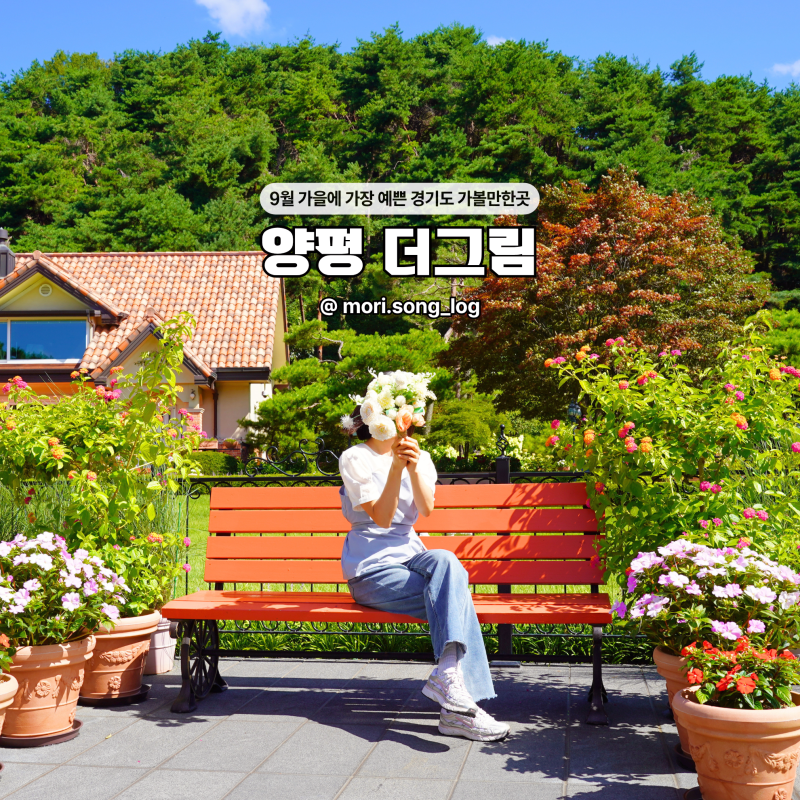 양평 놀거리 더그림 경기도 양평 가볼만한곳 데이트코스 카페