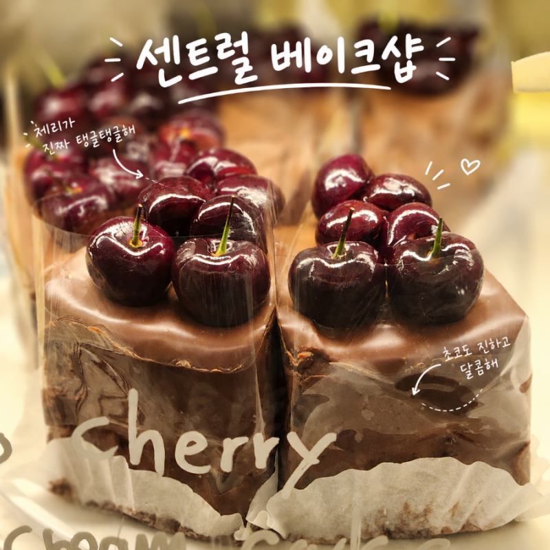 진주 경상대 케이크맛집 "센트럴베이크샵" 후기 / 케이크 종류