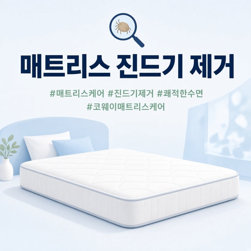 매트리스 진드기 제거 효과적으로 하는 방법 & 코웨이 매트리스케어 솔루션 장