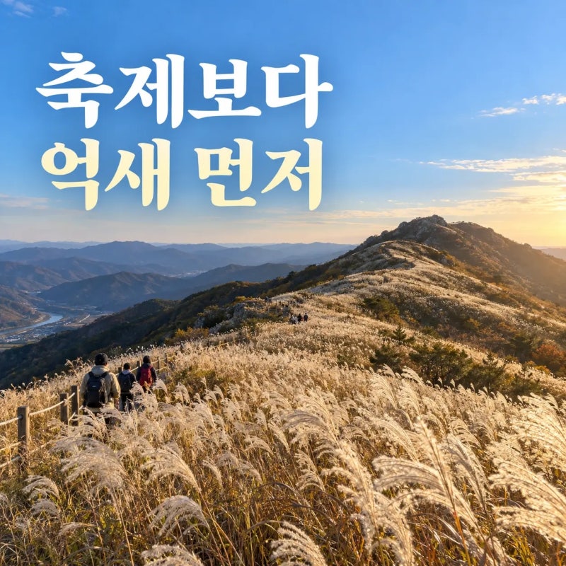 민둥산 억새축제 2026, 9월보다 10월 중순 이후를 보는 이유