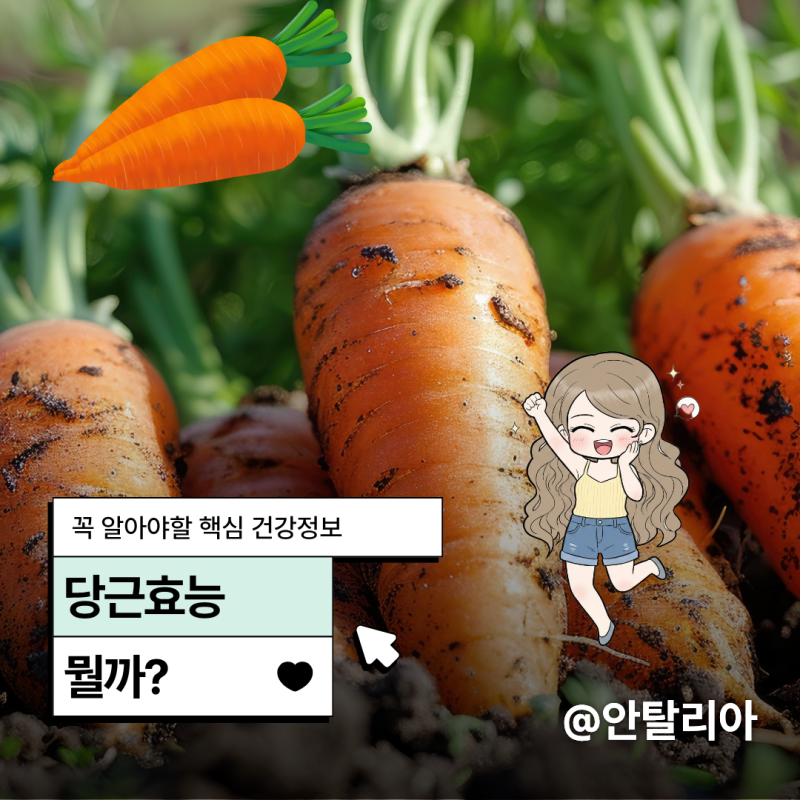 신선한 당근효능 매일 챙기면 좋은 이유