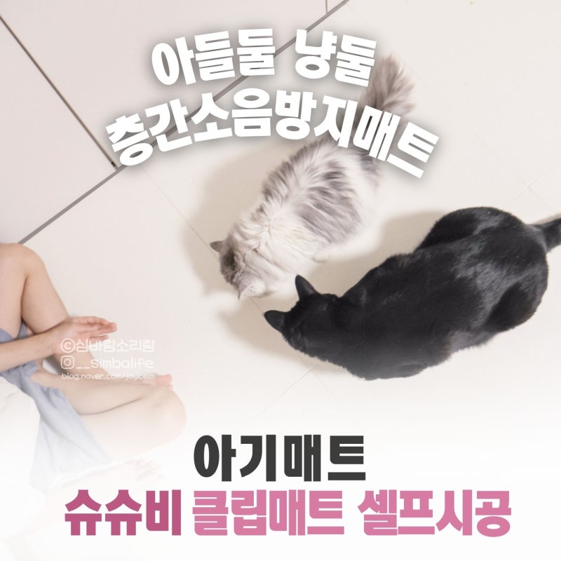 육아육묘 아기거실매트추천! 층간소음방지 셀프시공 슈슈비 클립매트