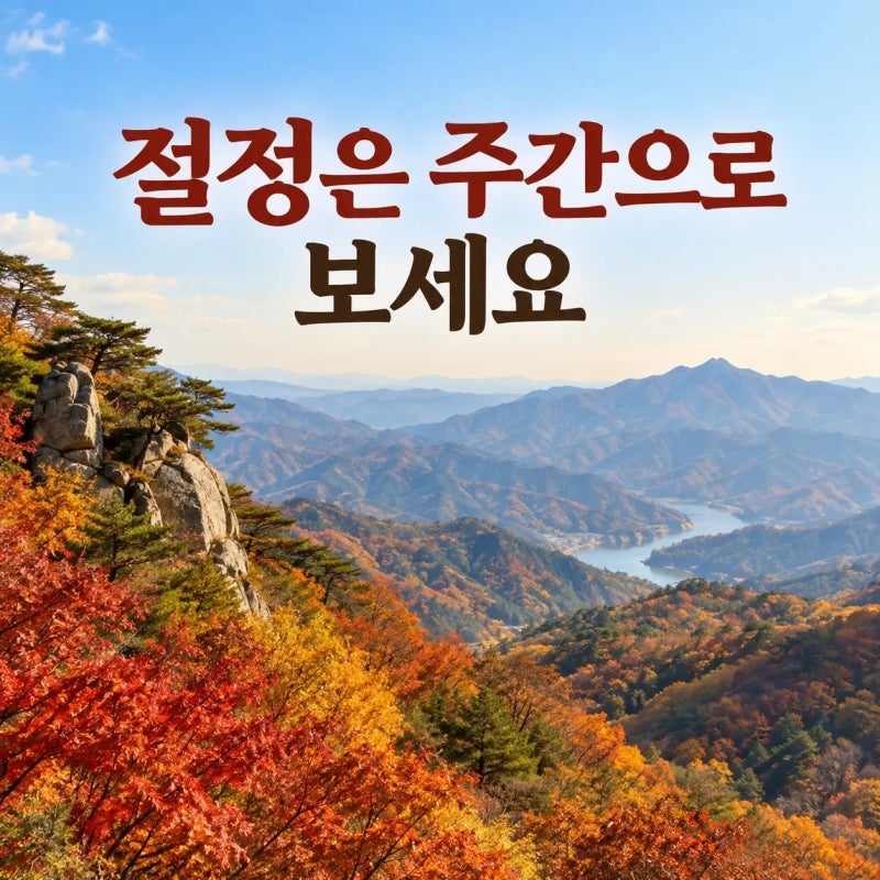 2026 단풍 시기, 절정 하루보다 지역별 주간으로 잡으세요