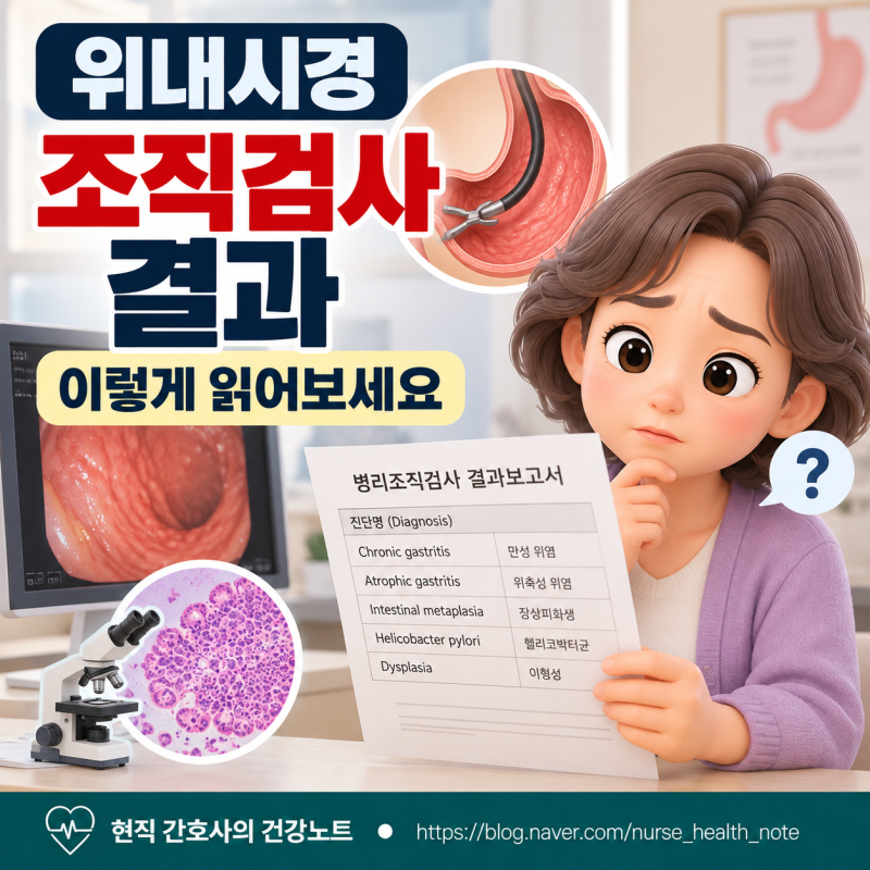 위내시경 조직검사 결과, 장상피화생·이형성·헬리코박터균은 무슨 뜻일까?