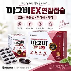마그비EX 연질캡슐 효능 복용법 부작용 가격, 마그네슘 함량과 식전·식후 정리