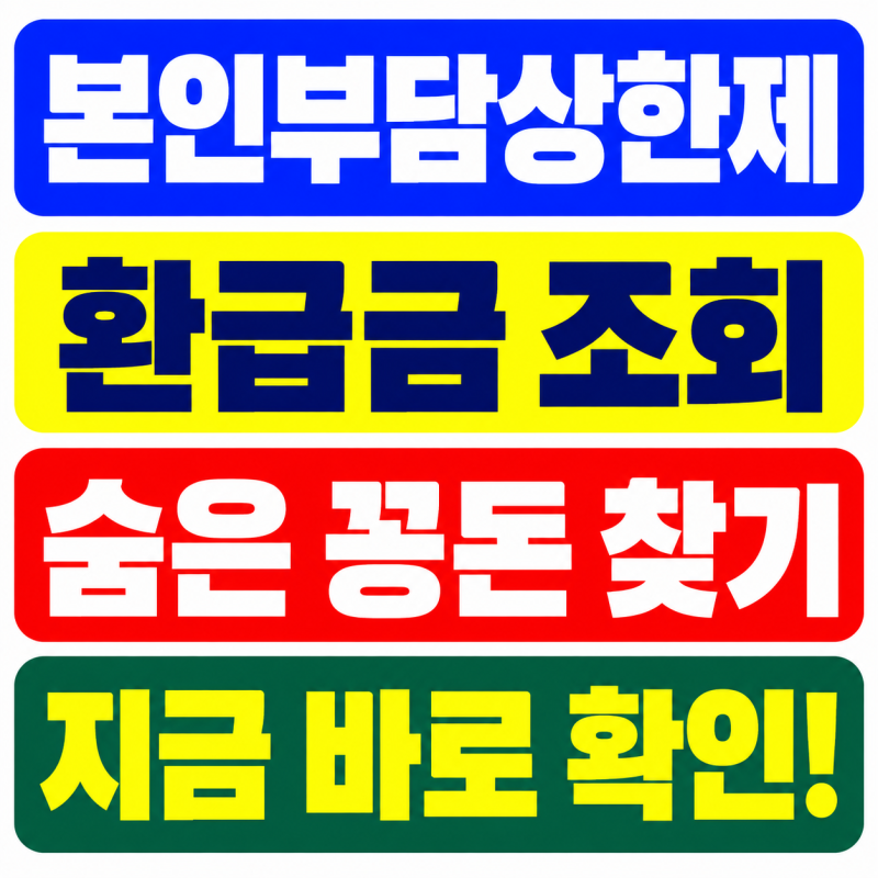 본인부담상한제 환급금 조회 안 하면 나만 손해! 병원비 많이 나왔다면 지금 바로 확인 (+숨....